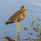 at Grumeti Reserve, Tanzania